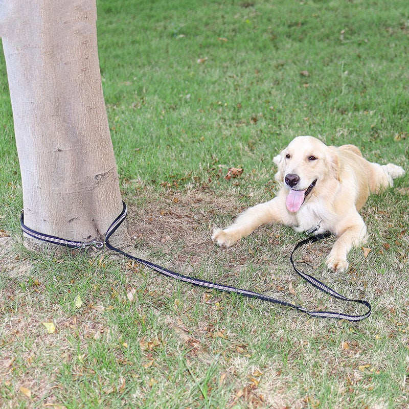 Barkirope 2 in 1 Hundeleine