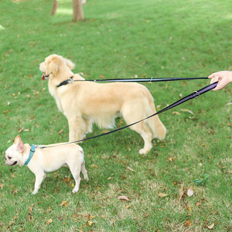 Barkirope 2 in 1 Hundeleine