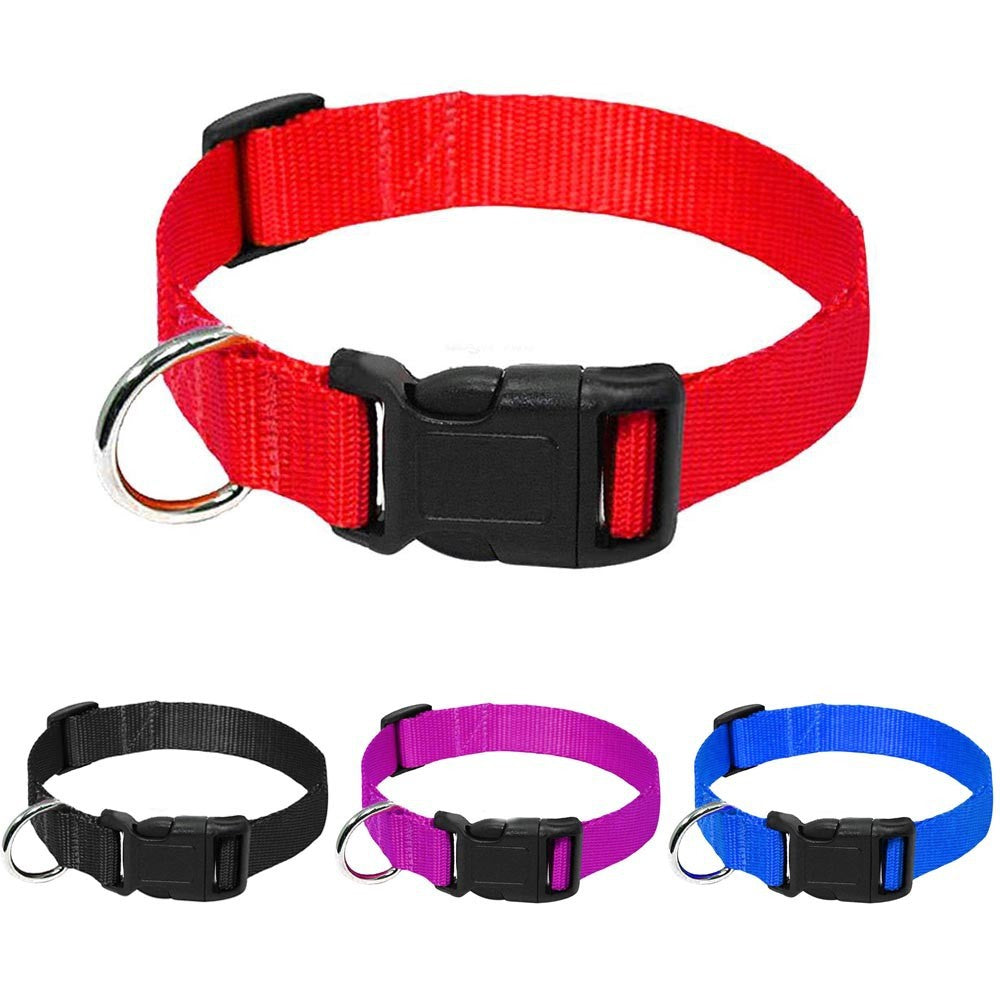 Barki-Go Hundehalsband