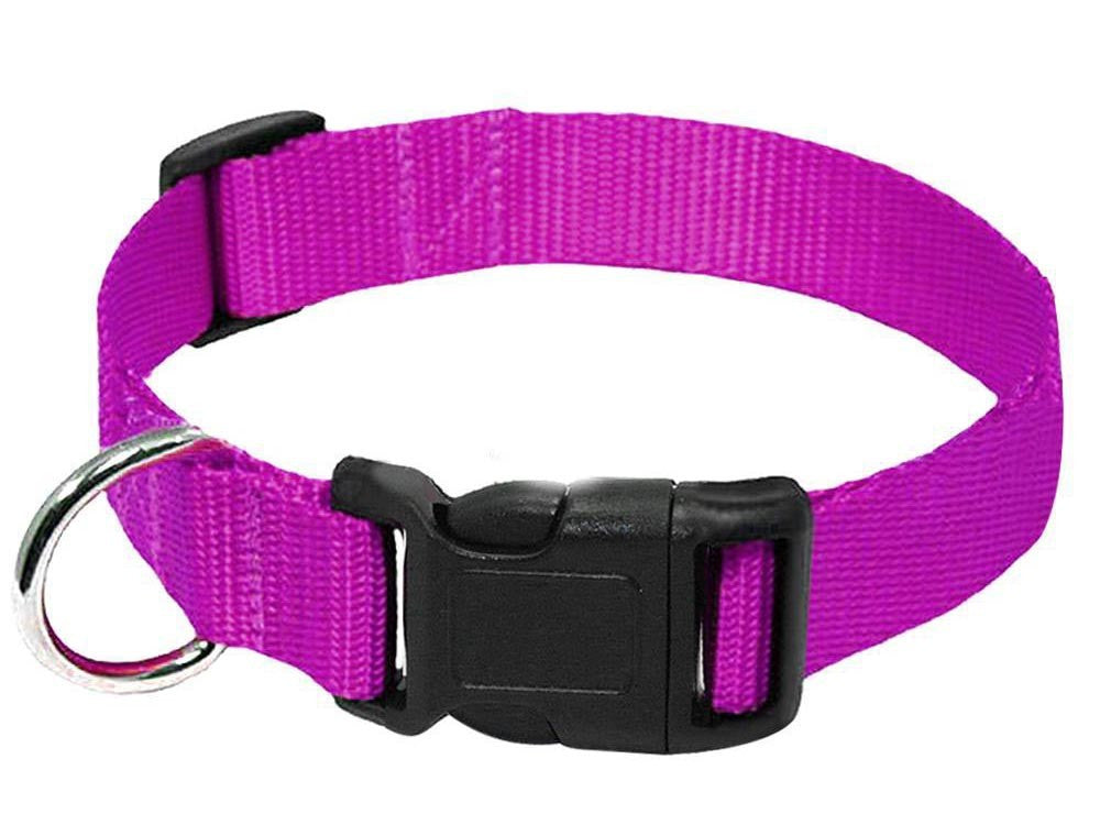 Barki-Go Hundehalsband