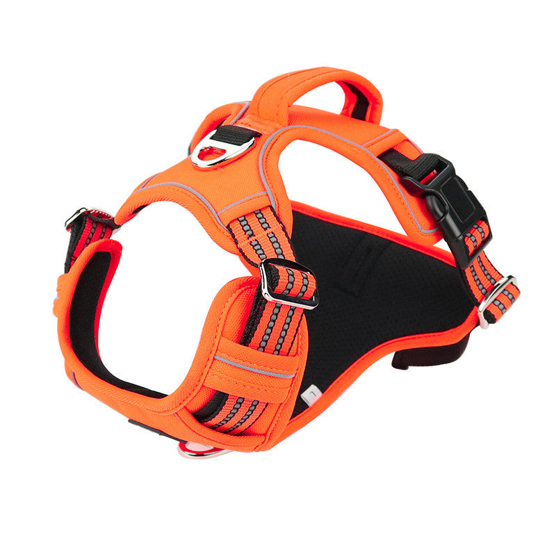 Barki Harness