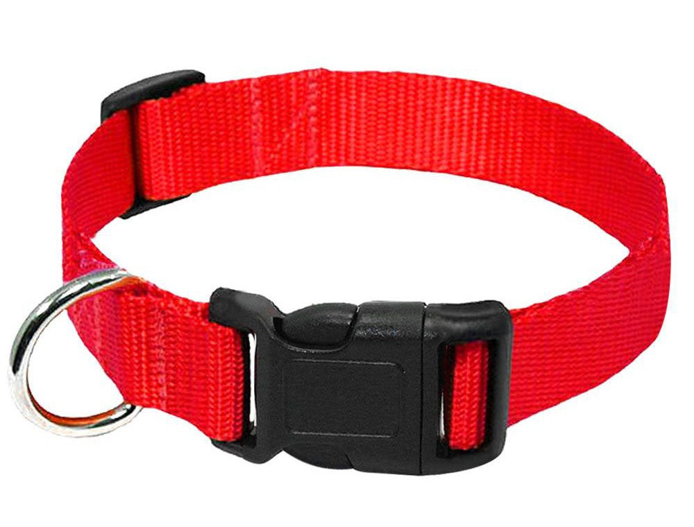 Barki-Go Hundehalsband
