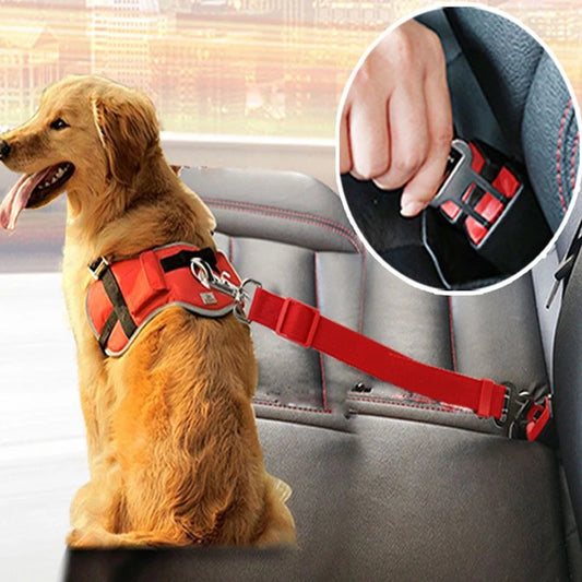 Barki Seat-Belt